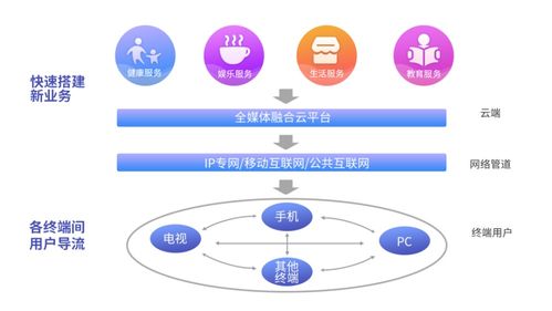 專訪新媒股份王兵 用互聯(lián)網(wǎng)技術(shù)打造新媒體的未來生態(tài)